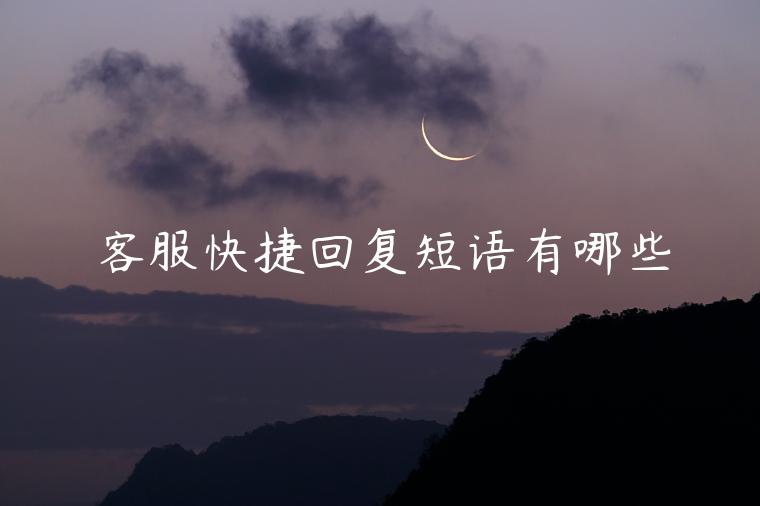 客服快捷回復(fù)短語(yǔ)有哪些